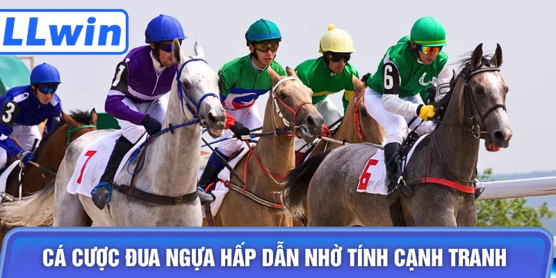 Cá cược đua ngựa hấp dẫn nhờ tính cạnh tranh