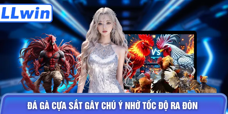 Đá gà cựa sắt gây chú ý nhờ tốc độ ra đòn